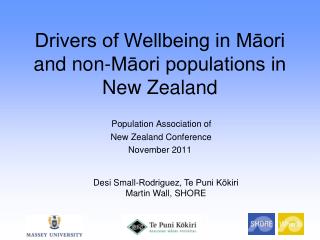 Drivers of Wellbeing in Māori and non-Māori populations in New Zealand