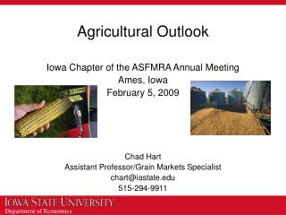 Agricultural Outlook