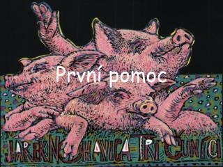 První pomoc