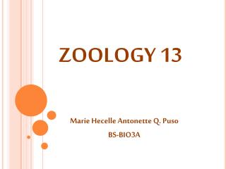 ZOOLOGY 13