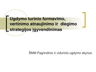 Ugdymo turinio formavimo, vertinimo atnaujinimo ir diegimo strategijos įgyvendinimas