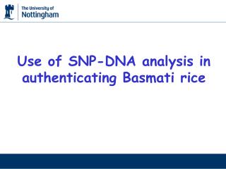 Use of SNP-DNA analysis in authenticating Basmati rice