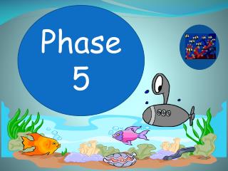 Phase 5