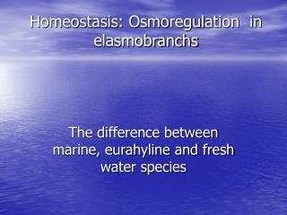 Homeostasis: Osmoregulation in elasmobranchs