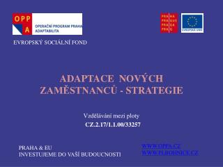 ADAPTACE NOVÝCH ZAMĚSTNANCŮ - STRATEGIE Vzdělávání mezi ploty CZ.2.17/1.1.00/33257
