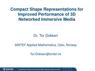 Compact Shape Representations for Improved Performance of 3D Networked Immersive Media