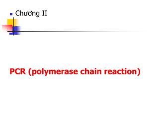 PCR (polymerase chain reaction)