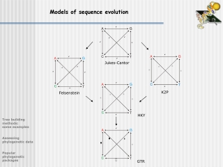 Models of sequence evolution