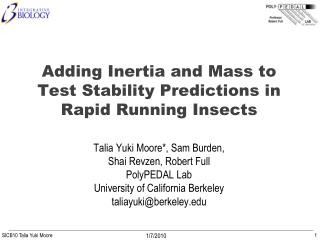 Adding Inertia and Mass to Test Stability Predictions in Rapid Running Insects
