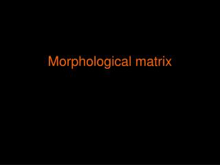 Morphological matrix