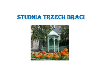 STUDNIA TRZECH BRACI