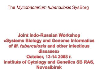 The Mycobacterium tuberculosis SysBorg