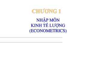 NHẬP MÔN KINH TẾ LƯỢNG (ECONOMETRICS)