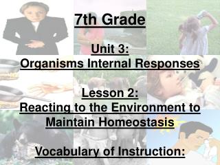 7th Grade Unit 3: Organisms Internal Responses Lesson 2: Reacting to the Environment to Maintain Homeostasis Vocabular
