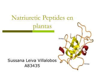 Natriuretic Peptides en plantas