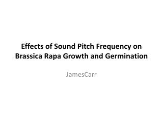 Effects of Sound Pitch Frequency on Brassica Rapa Growth and Germination