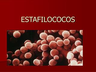 ESTAFILOCOCOS