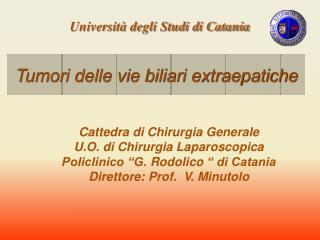 Università degli Studi di Catania