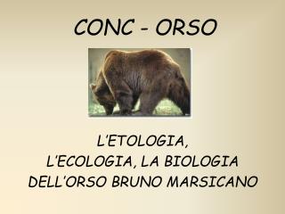 CONC - ORSO