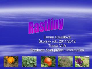 Emma Dzurillová Školský rok: 2011/2012 Trieda VI.A Predmet: Svet práce - Informatika