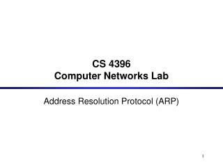 CS 4396 Computer Networks Lab