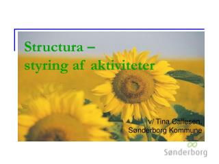 Structura – styring af aktiviteter