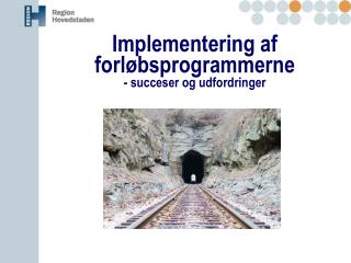 Implementering af forløbsprogrammerne - succeser og udfordringer