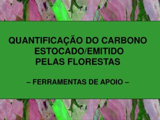 QUANTIFICAÇÃO DO CARBONO ESTOCADO/EMITIDO PELAS FLORESTAS – FERRAMENTAS DE APOIO –