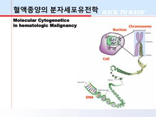 혈액종양의 분자세포유전학 Molecular Cytogenetics in hematologic Malignancy