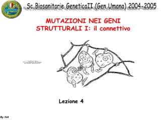 MUTAZIONI NEI GENI STRUTTURALI I: il connettivo