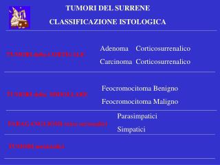 TUMORI DEL SURRENE CLASSIFICAZIONE ISTOLOGICA