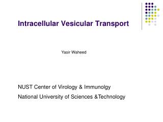 Intracellular Vesicular Transport