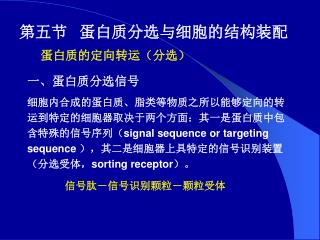 第五节 蛋白质分选与细胞的结构装配