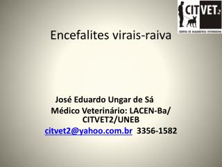 Encefalites virais-raiva