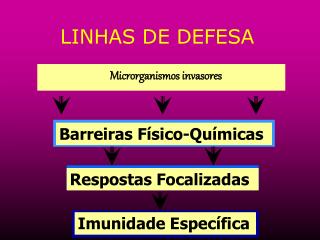 LINHAS DE DEFESA