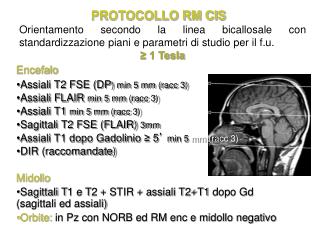 PROTOCOLLO RM CIS