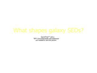 What shapes galaxy SEDs?