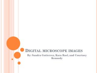 Digital microscope images