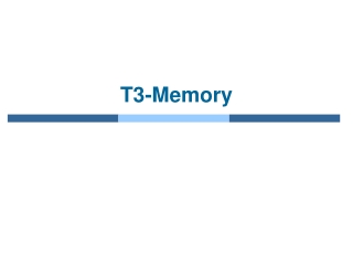 T3-Memory