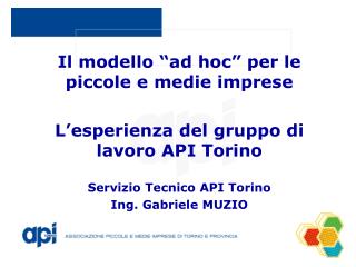 Il modello “ad hoc” per le piccole e medie imprese L’esperienza del gruppo di lavoro API Torino