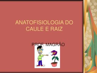 ANATOFISIOLOGIA DO CAULE E RAIZ