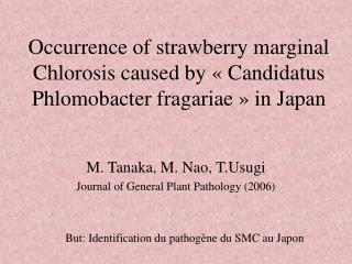 M. Tanaka, M. Nao, T.Usugi Journal of General Plant Pathology (2006)