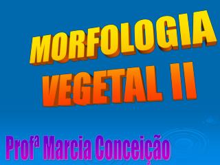 MORFOLOGIA VEGETAL II