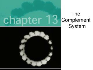 The Complement System