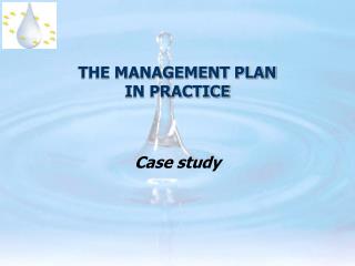 THE MANAGEMENT PLAN IN PRACTICE