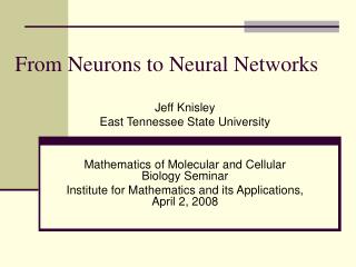 From Neurons to Neural Networks