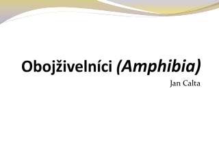 Obojživelníci ( Amphibia )