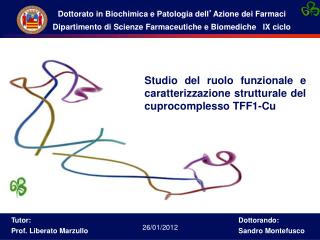 Studio del ruolo funzionale e caratterizzazione strutturale del cuprocomplesso TFF1-Cu