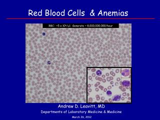 Red Blood Cells &amp; Anemias