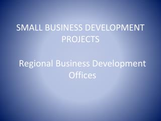 SMALL BUSINESS DEVELOPMENT PROJECTS